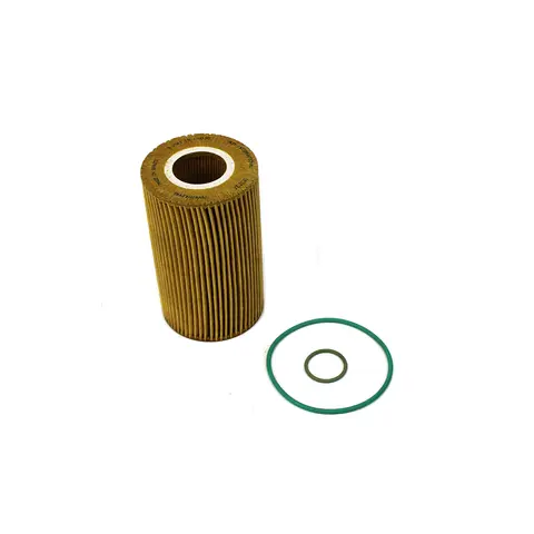 Filtro Elemento Óleo Lubrif MWM