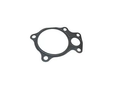 Junta Lateral Cabeçote Motor
