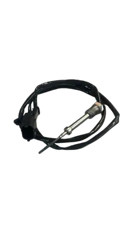 Sensor Temperatura 800MM