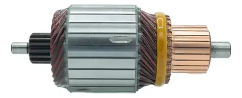 Induzido Partida 12V 25 Lâminas 15 Dentes Zwf
