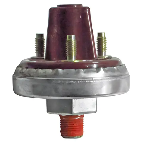 Interruptor Freio para Ford Cargo 1622 2425