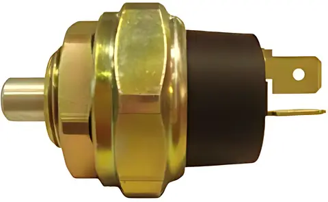 Interruptor Freio para Ford Cargo 815 1722