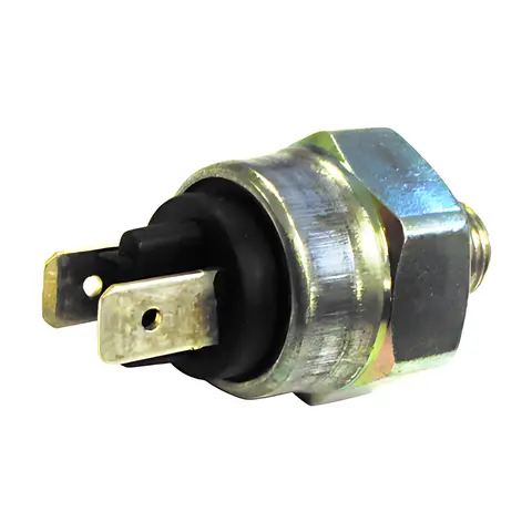 Interruptor Luz Freio para Agrale Marrua