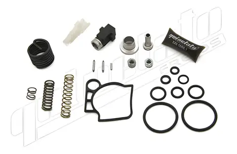 Jg Reparo Válvula Manetim para Scania R/T 112 142