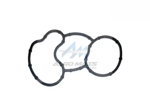 Junta Bomba Óleo Câmbio FH FM13 VM270 VM330