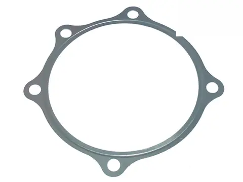 Junta Moringa Câmbio para Volvo D13