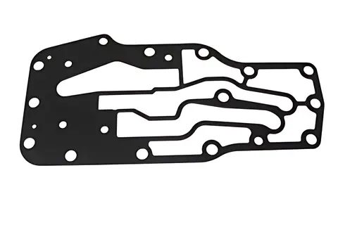 Junta Radiador Óleo para Ford Cargo 2422 2428
