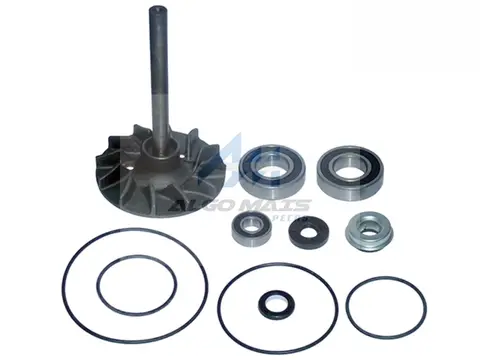Kit Reparo Bomba Água para Volvo N10
