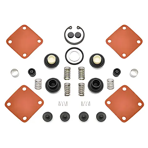 Kit Reparo Válvula para Agrale VW 8150