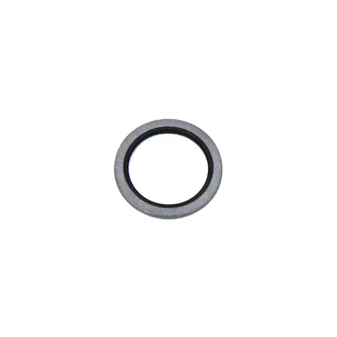 Anel Oring