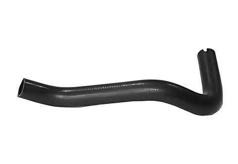 Mangueira Expansão Inferior para Iveco Daily 35S14