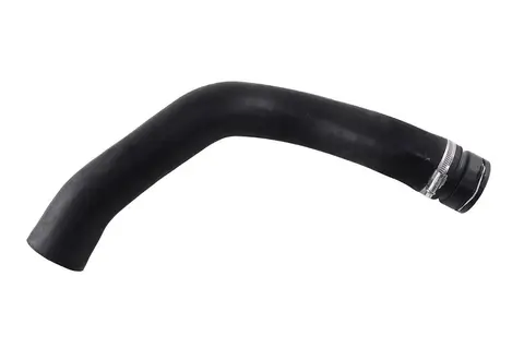 Mangueira Radiador para Iveco Stralis 360