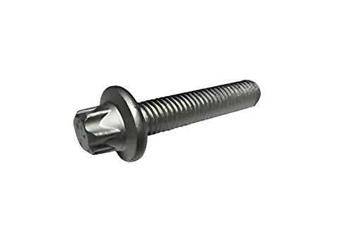 Parafuso Carcaça para MB Atego 1718 2425