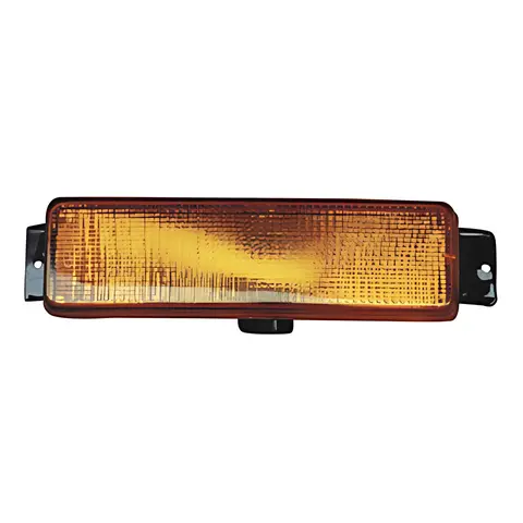 Pisca Dianteiro LD para Ford Cargo