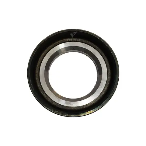 Pista Vedador para Iveco Stralis 450S38 570S42