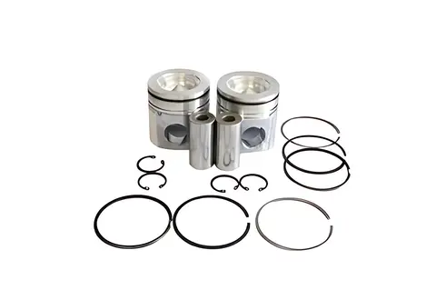 Pistão Motor Std para Ford Cargo 2628E