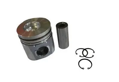 Pistão MWM X10 VW 12140T 14150 13190 15190