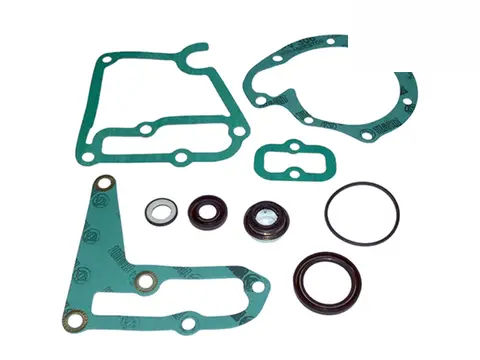 Reparo Bomba Água MB L1113 1313 1513 2013