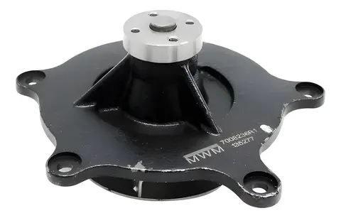 Reparo Bomba Água VW 17280 24280 Euro 5