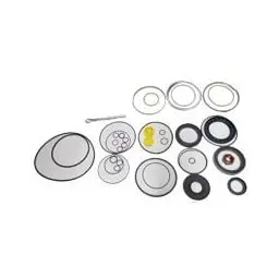Reparo Caixa ZF MB 1924/1934 para Scania BR110