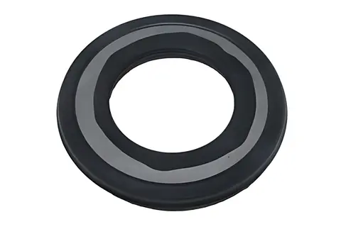 Reparo Caixa ZF para Iveco Stralis