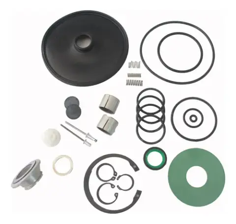 Reparo Completo Válvula Ford Cargo
