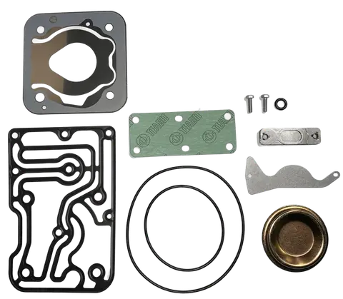 Reparo Compressor para Ford Cargo
