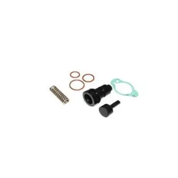 Reparo EGR VW 13190 15190 17190 17230 24280 26280