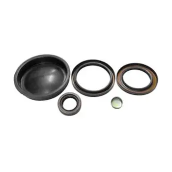 Reparo Reduzida VW 24250 para Ford Cargo