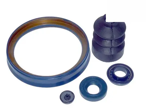 Reparo Servo Freio para MB 1111 1113 1313 1513