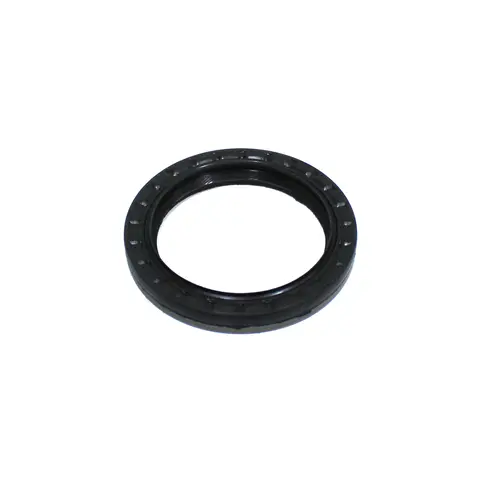 Retentor Câmbio ZF S5420 Motor MWM