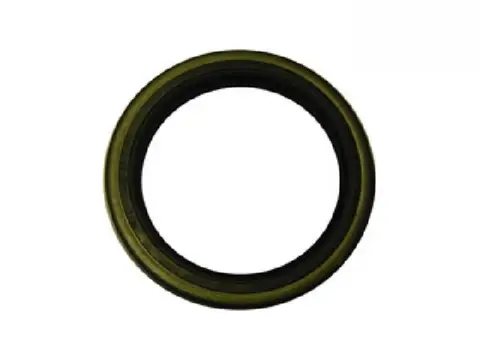 Retentor Cx Transf para MB 1113 1313 1513 2213