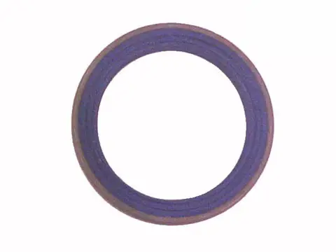 Retentor Flange Câmbio MB 1113 1313 1513 2013