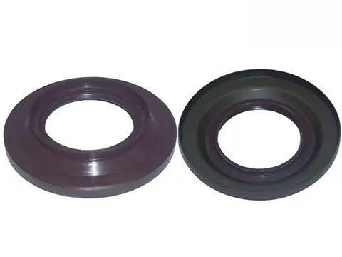 Retentor Pinhão Diferencial MB Atego 2425 2430