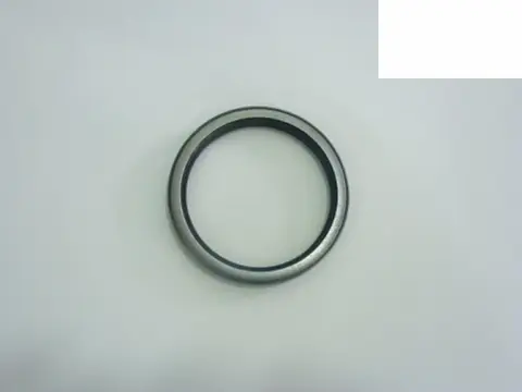 Retentor Trás 24220 24250 24250B1E 40300