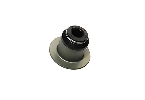 Retentor Válvula para Cummins Express 4.150 4.160