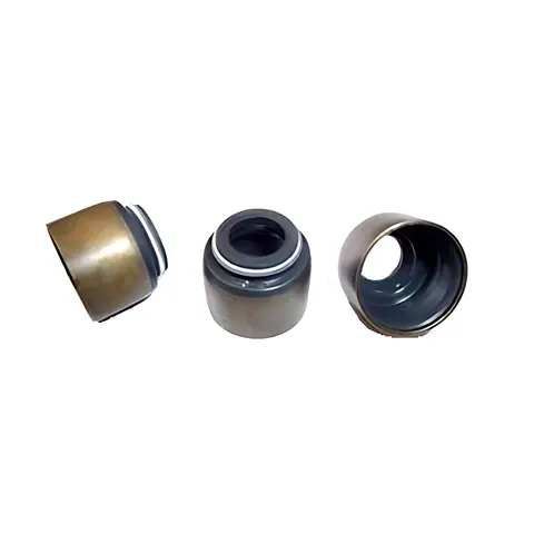 Retentor Válvula para Hyundai Hr Motor D4BH