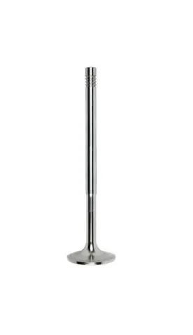 Válvula Escape Motor