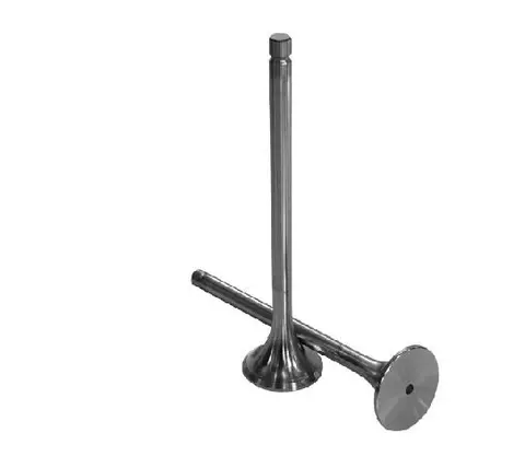Válvula Escape Motor