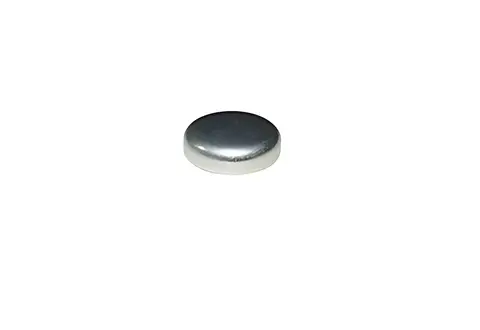 Selo Bloco Motor 22MM para Iveco Tector