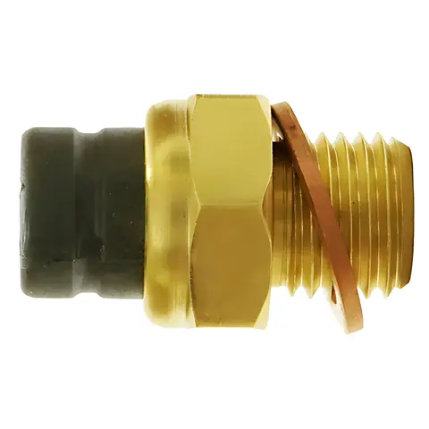 Sensor Temperatura para Agrale 1996