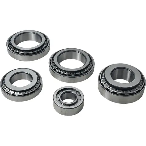 Kit Rolamento Diferencial EV91