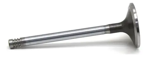 Válvula Admissão para Ford B1618 para Volvo VM