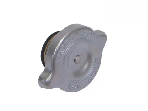 Tampa Radiador para Ford F1000 F4000 F11000