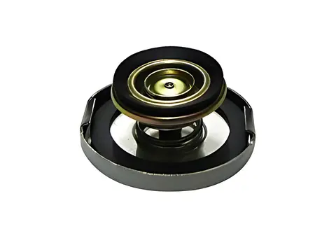 Tampa Radiador para Ford F1000 Tb 4x4