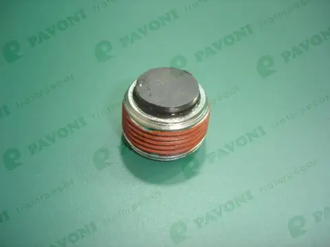 Bujão Orig para Caixa Câmbio Eaton