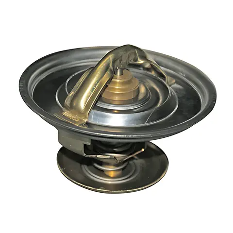 Valv Termost Refil 79C para Scania T113 R113 R124