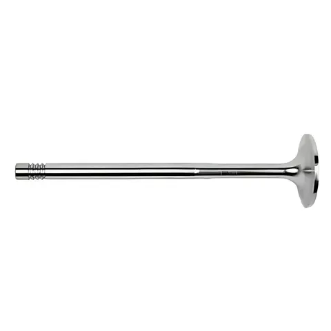 Válvula Admissão VW TGX 29440 28440 33440