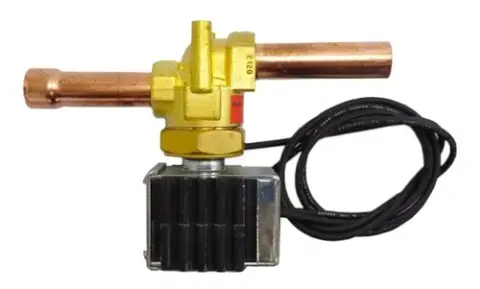 Válvula de Degelo VW 16170 16220 24220