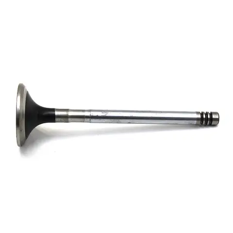 Válvula de Escape Motor MWM VW